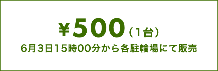 500円（1台）