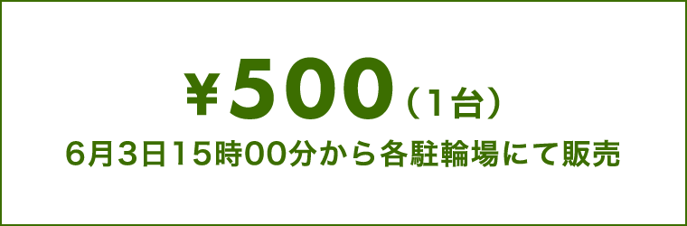 500円(1台)